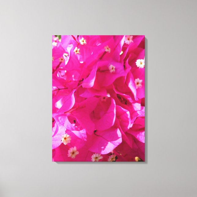 Lienzo Bougainvillea (Anverso)