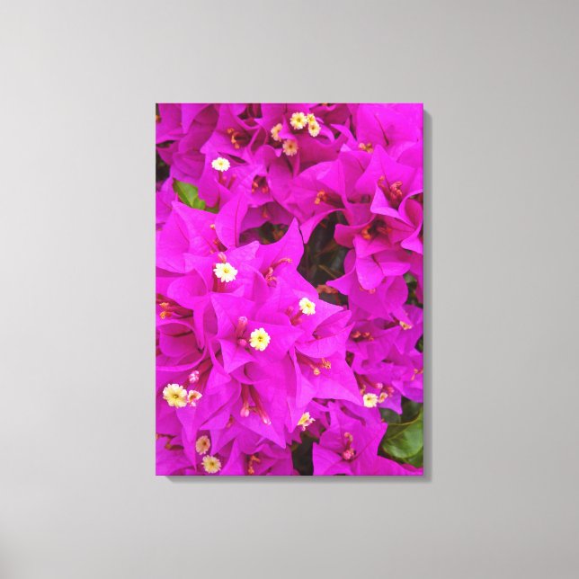 Lienzo Bougainvillea (Anverso)