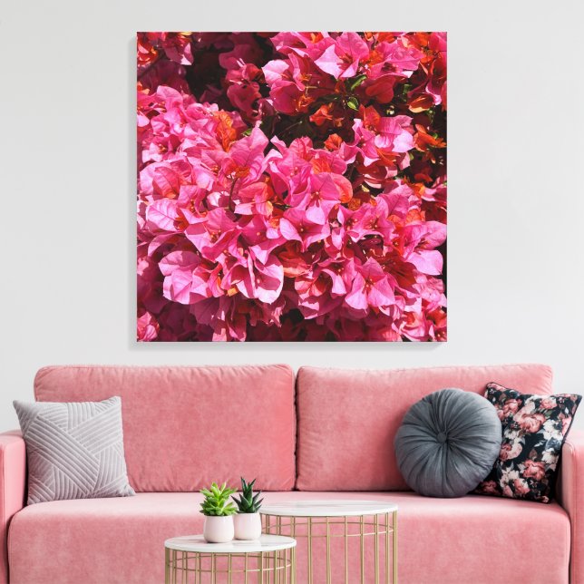Lienzo Bougainvillea Pink Tropical Vining Shrub Foto (Insitu (Sala de estar))