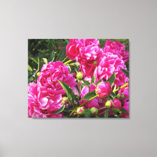 Lienzo Bountiful peonies