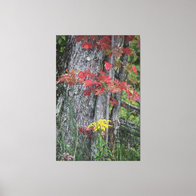 Lienzo Bounty of Nature (Anverso)