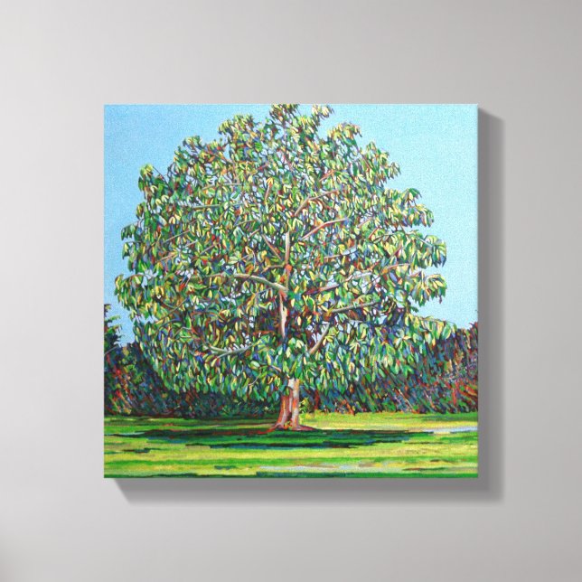 Lienzo Bow Tree Summer (Anverso)