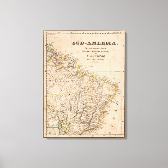 Lienzo Brasil 5 (Anverso)