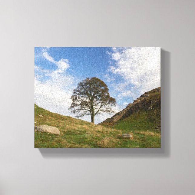 Lienzo Brecha de Sycamore en otoño (Anverso)