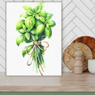 Lienzo Bright Basil Watercolor Fresh Herb Art for Kitchen