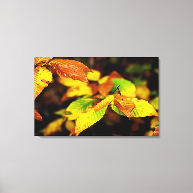 Lienzo Brillante otoñal en verde amarillo y marrón (Anverso)