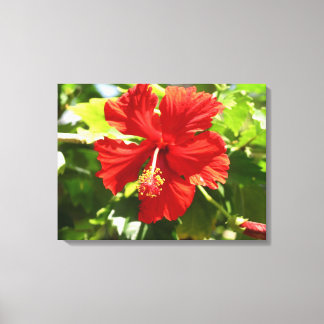 Lienzo Brillante rojo Hibiscus Flower Canvas Print