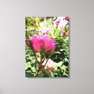 Lienzo brillante, rosa, flores, floral, fotografía, image