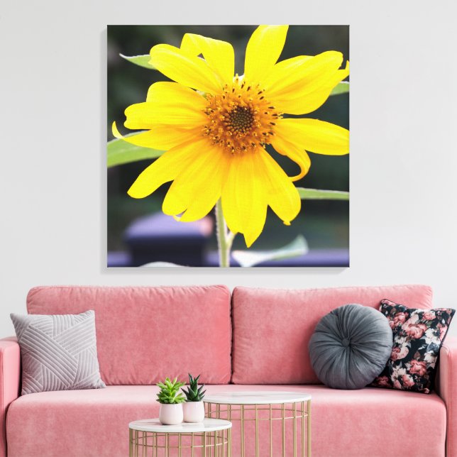 Lienzo Brillante Sunny Yellow Sunflower Close-up 24" x 24 (Insitu (Sala de estar))