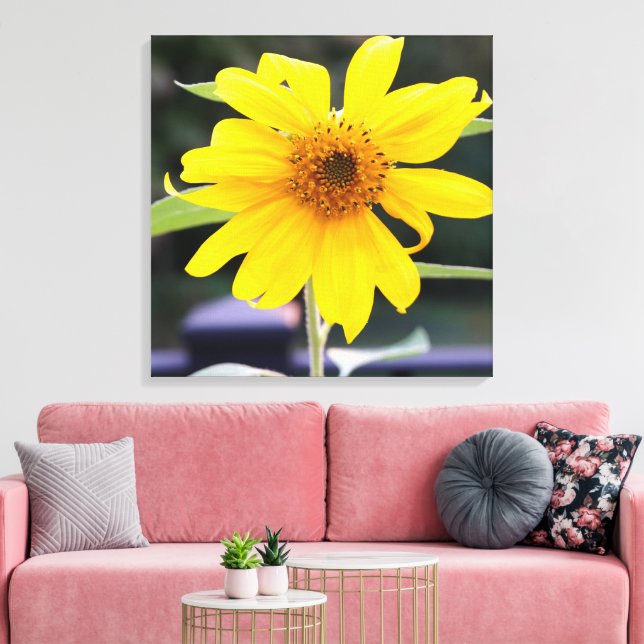 Lienzo Brillante Sunny Yellow Sunflower Close-up 24" x 24 (Insitu (Sala de estar))