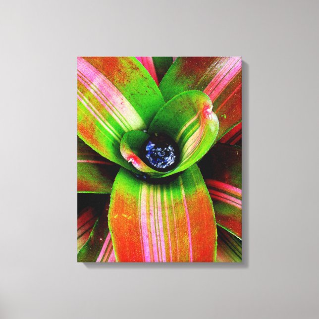 Lienzo Bromelia (Anverso)