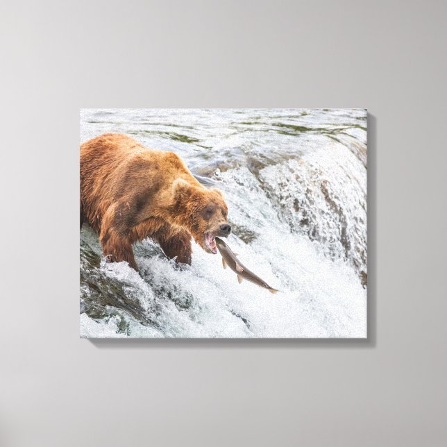 Lienzo Brown Bear Catches Red Salmon (Anverso)
