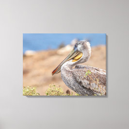 Lienzo Brown Pelican