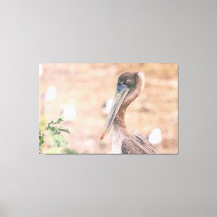 Lienzo Brown Pelican