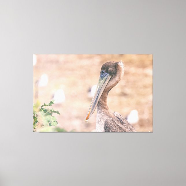 Lienzo Brown Pelican (Anverso)
