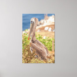 Lienzo Brown Pelican