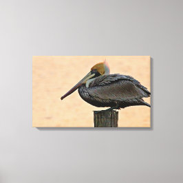 Lienzo Brown Pelican Resting on Piling
