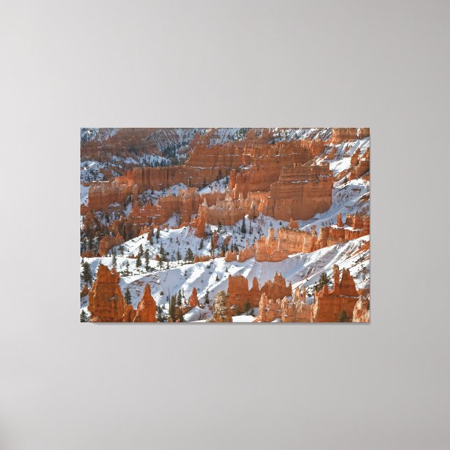 Lienzo Bryce en invierno (Anverso)