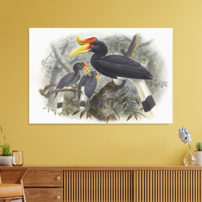 Lienzo Buceros rhinoceros (Insitu (Sala de estar))