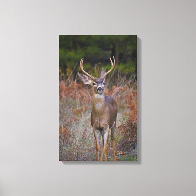 Lienzo ¡Buck se detiene aquí! (Anverso)