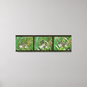 Lienzo Buckeye Butterfly Triptych