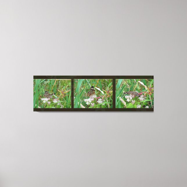 Lienzo Buckeye Butterfly Triptych (Anverso)