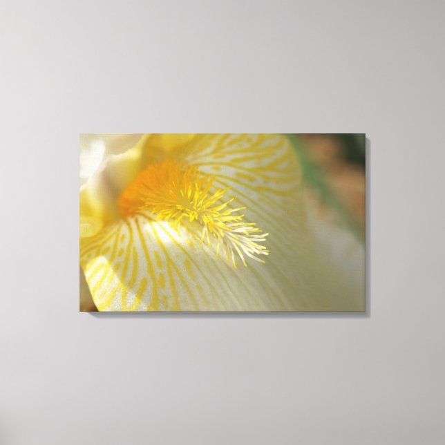 Lienzo ¡Buenos Días Iris! (Anverso)