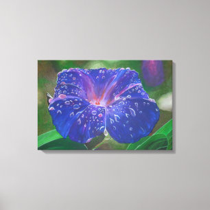 Lienzo Buenos días Pétalos de Gloria (Ipomoea Purpurea) y