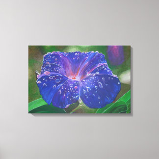 Lienzo Buenos días Pétalos de Gloria (Ipomoea Purpurea) y