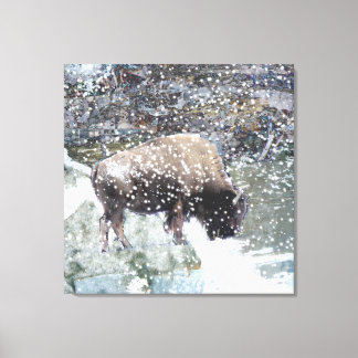Lienzo Búfalo en la imagen de la tormenta de nieve envuel