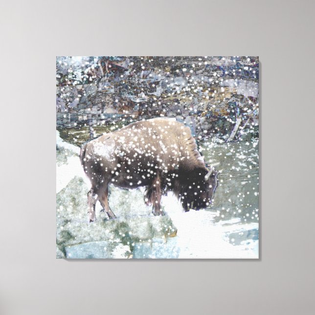 Lienzo Búfalo en la imagen de la tormenta de nieve envuel (Anverso)
