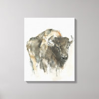 Buffalo americano I