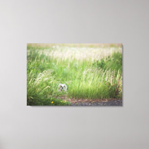 Lienzo Búho en la hierba