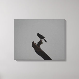 Lienzo Bulbul de aire rojo en Silhouette Stylish Fotograf