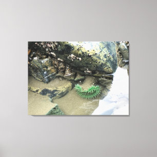Lienzo Bullards Beach State Park, Bandon, Oregon