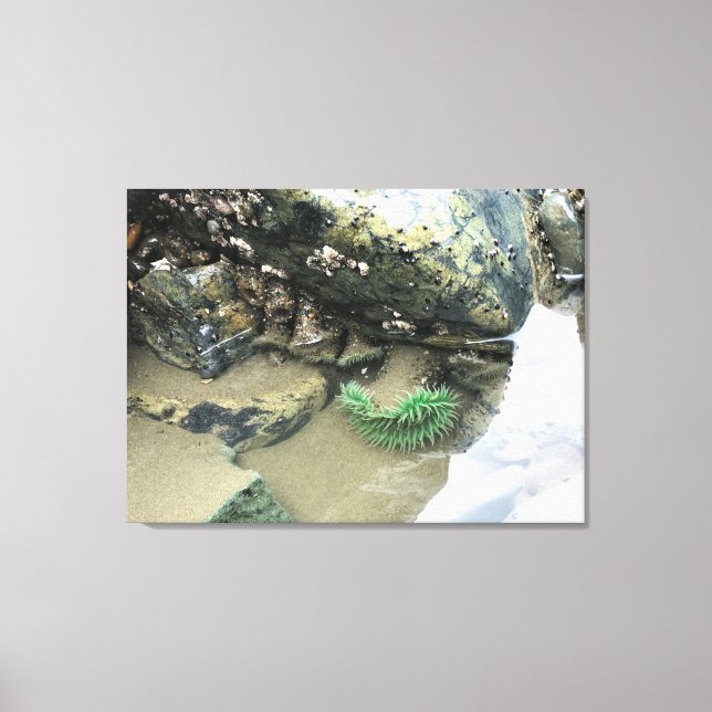 Lienzo Bullards Beach State Park, Bandon, Oregon (Anverso)