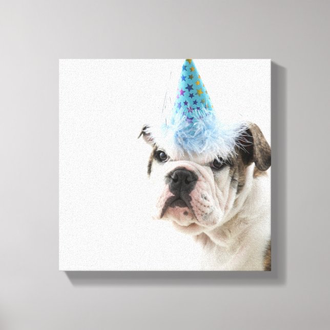 Lienzo Bulldog Británico Con Un Gorra Fiesta (Anverso)