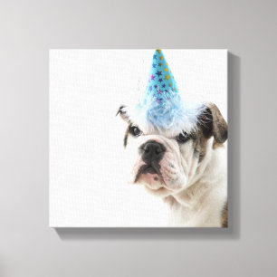 Lienzo Bulldog Británico Con Un Gorra Fiesta