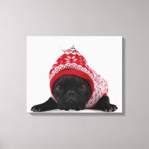 Lienzo Bulldog Con Suéter Capuchado