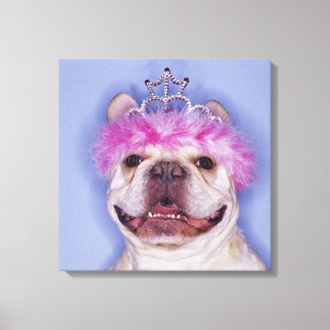 Lienzo Bulldog con tiara (Anverso)