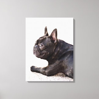 Lienzo Bulldog francés