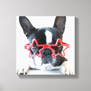 Lienzo Bulldog francés con los vidrios rojos de la