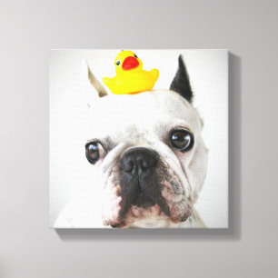 Lienzo Bulldog francés con pato de goma