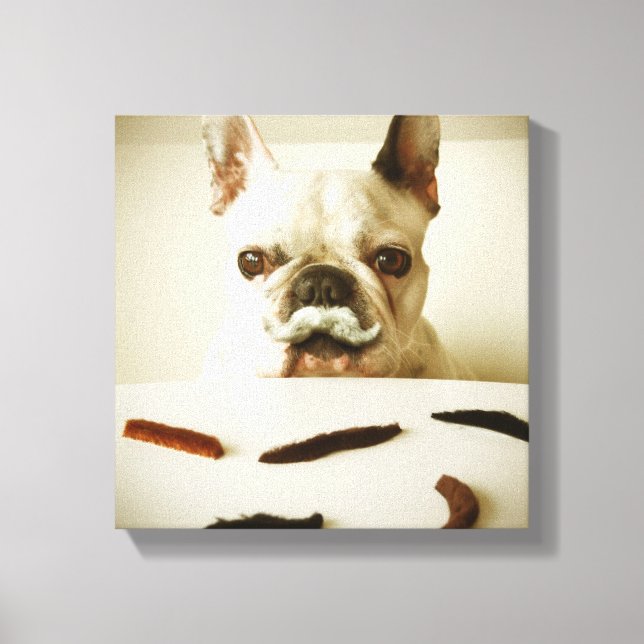 Lienzo Bulldog Francés Con Un Mustache (Anverso)