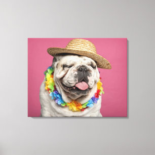 Lienzo Bulldog inglés (18 meses) que lleva una paja