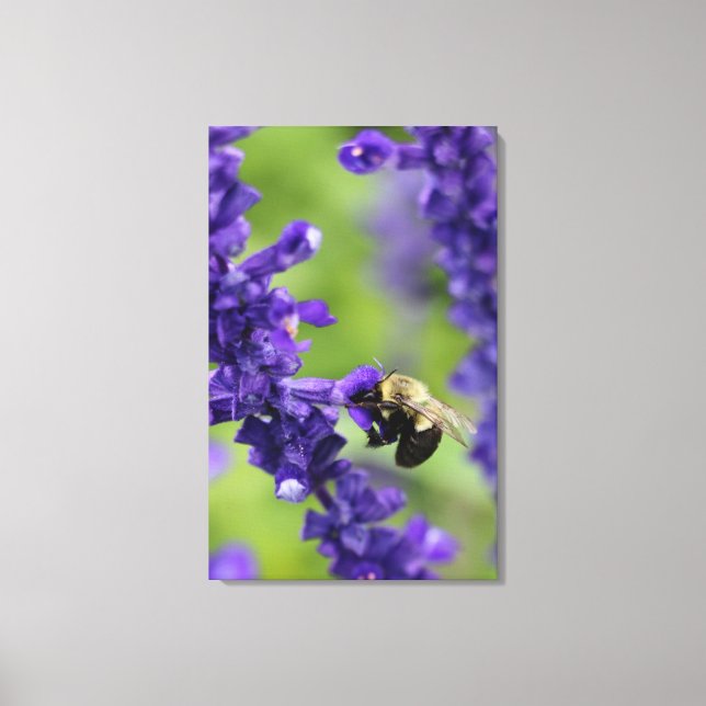 Lienzo Bumble Bee (Anverso)