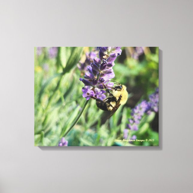 Lienzo Bumble Bee and Lavender Stretched Canvas Print (Anverso)