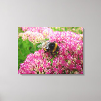Lienzo Bumble Bee en el sedum "Alegría de otoño"