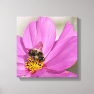 Lienzo Bumblebee y Cosmos