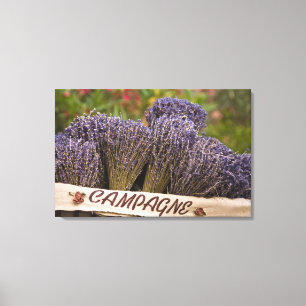 Lienzo Bunches de lavanda a la venta, Vence, Provenza,
